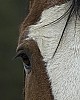 DSC_5262.jpg