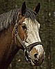 DSC_5323.jpg