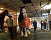 _DSC1904.jpg