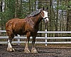 _DSC1930.jpg