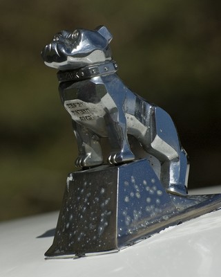 DSC_5352.jpg
