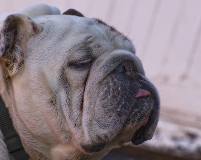DSC_5364.jpg
