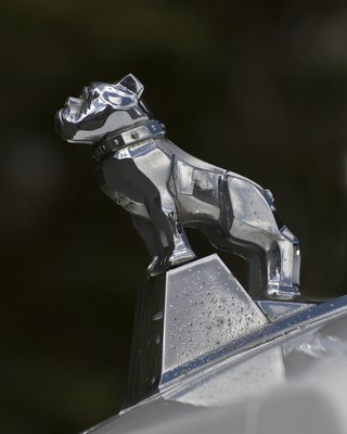 DSC_5374.jpg