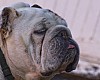 DSC_5364.jpg