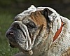 DSC_5367.jpg