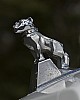 DSC_5374.jpg